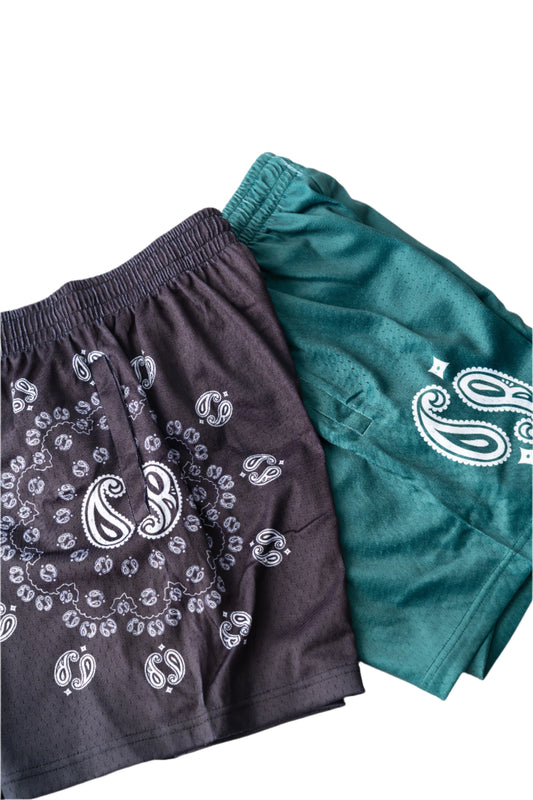 Tear Drop "DR" Mesh Shorts